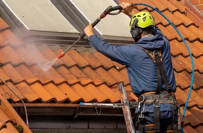 Démoussage et hydrofuge de toiture à Musièges